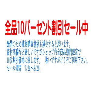 画像: サマーセール実施中