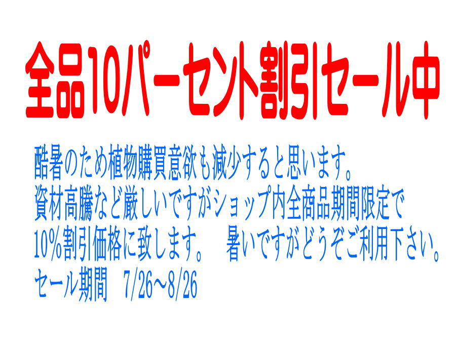 画像1: サマーセール実施中
